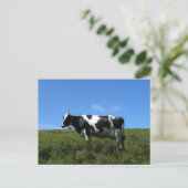 Carte postale de vaches heureuses (Debout devant)