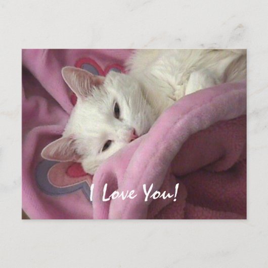 Carte postale de Valentine - customisée (Devant)