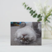 Carte postale de vampire (Debout devant)