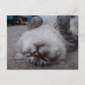 Carte postale de vampire (Devant)