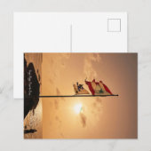 Carte postale de Vega Baja à Porto Rico (Devant / Derrière)