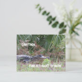 Carte postale de voeux Alligator (Debout devant)