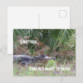Carte postale de voeux Alligator (Devant / Derrière)