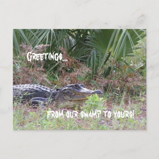 Carte postale de voeux Alligator (Devant)