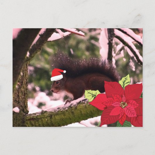 Carte postale de voeux de Noël (Devant)