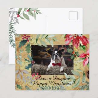 Carte postale de voeux de Noël de chien mignon Flo
