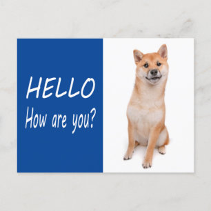 Carte postale de voeux pour chien chiot Shiba Inu