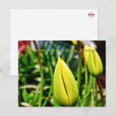 Carte postale de vœux printaniers aux tulipes jaun (Devant / Derrière)