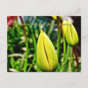 Carte postale de vœux printaniers aux tulipes jaun