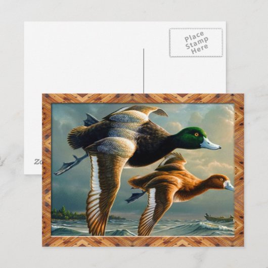 Carte postale de vol de canard (Devant / Derrière)