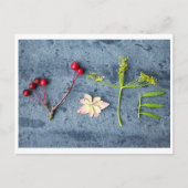 Carte postale de vote  (Devant)