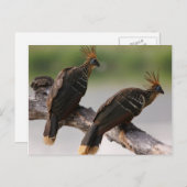 Carte postale de voyage 10 (Devant / Derrière)