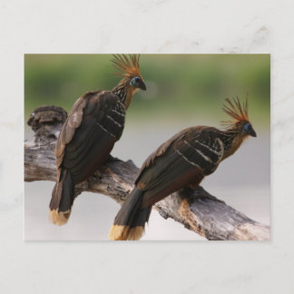 Carte postale de voyage 10