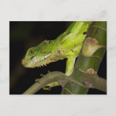 Carte postale de voyage 12 (Devant)