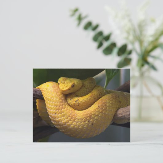 Carte postale de voyage 2 (Debout devant)