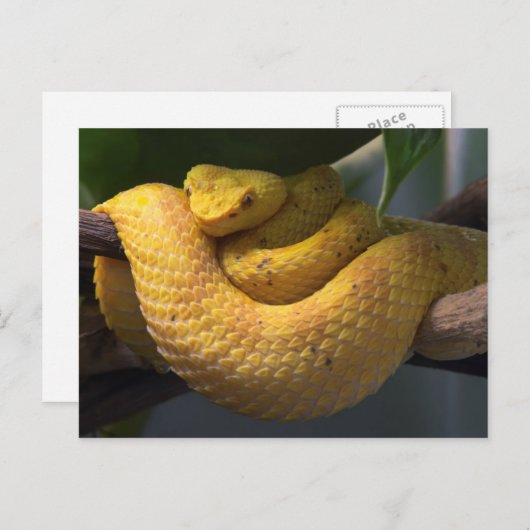 Carte postale de voyage 2 (Devant / Derrière)