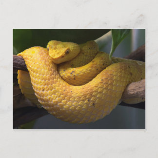 Carte postale de voyage 2