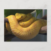 Carte postale de voyage 2 (Devant)