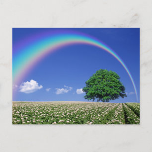 Carte postale de voyage d'arbre coloré élégant