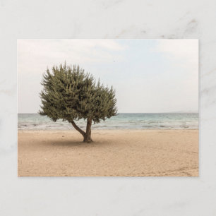 Carte postale de voyage d'arbre coloré élégant