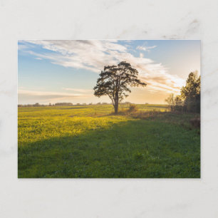 Carte postale de voyage d'arbre coloré élégant