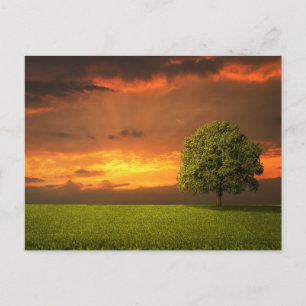 Carte postale de voyage d'arbre coloré élégant