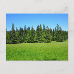 Carte postale de voyage d'arbre coloré élégant