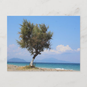 Carte postale de voyage d'arbre coloré élégant