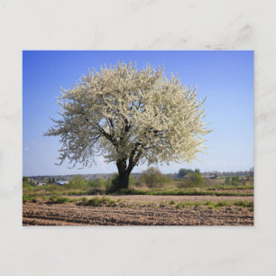 Carte postale de voyage d'arbre coloré élégant