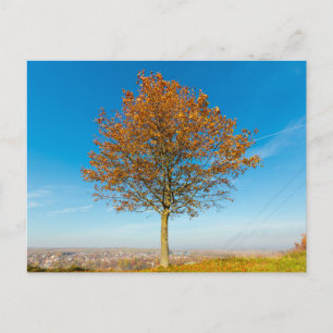 Carte postale de voyage d'arbre coloré élégant