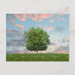 Carte postale de voyage d'arbre coloré élégant