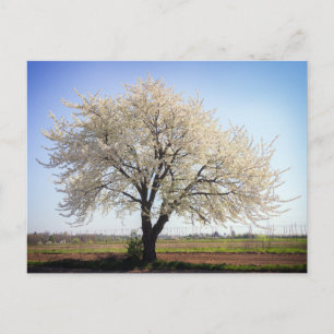 Carte postale de voyage d'arbre coloré élégant