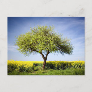 Carte postale de voyage d'arbre coloré élégant