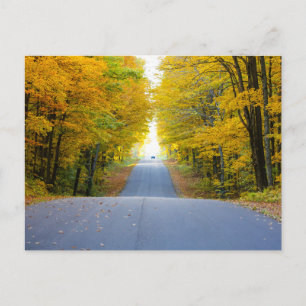 Carte postale de voyage d'arbre coloré élégant