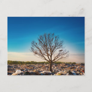 Carte postale de voyage d'arbre coloré élégant