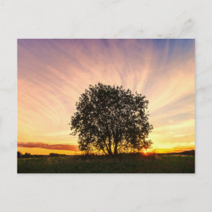 Carte postale de voyage d'arbre coloré élégant