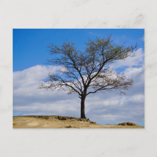 Carte postale de voyage d'arbre coloré élégant