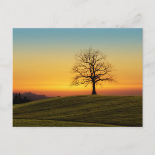 Carte postale de voyage d'arbre coloré élégant