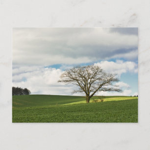 Carte postale de voyage d'arbre coloré élégant