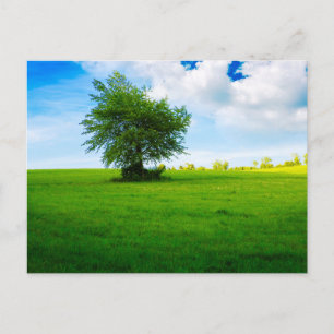 Carte postale de voyage d'arbre coloré élégant