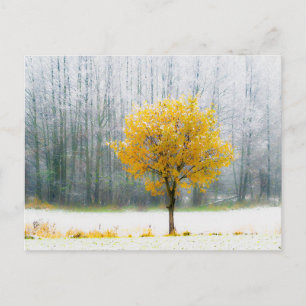 Carte postale de voyage d'arbre coloré élégant