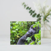 Carte postale de voyage de la forêt de Bwindi, Oug (Debout devant)