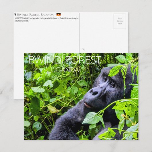 Carte postale de voyage de la forêt de Bwindi, Oug (Devant / Derrière)