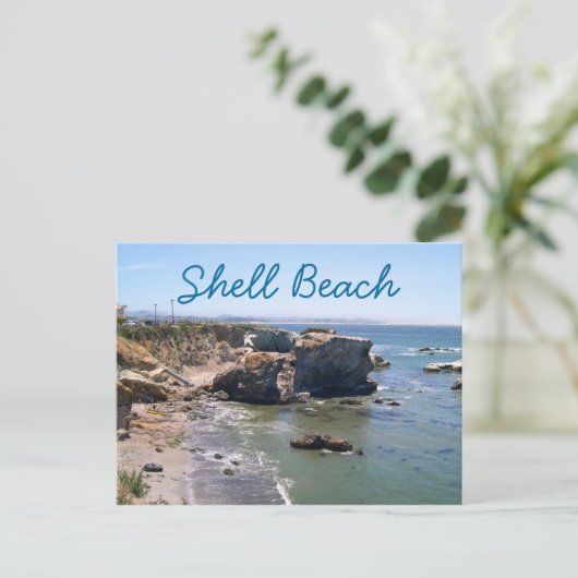 Carte postale de voyage Shell Beach (Debout devant)