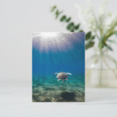 Carte postale de voyage sous-marine de la tortue (Debout devant)