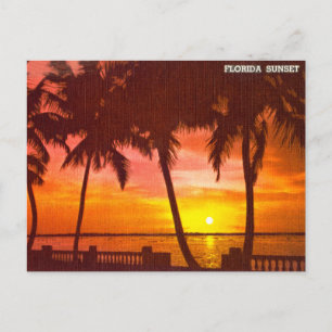 Carte postale de voyage vintage Florida Sunset