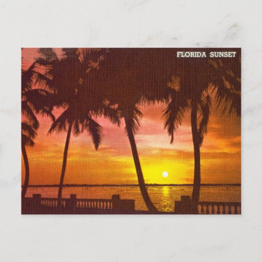Carte postale de voyage vintage Florida Sunset (Devant)