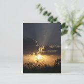 Carte postale de vues d'art vivant (Debout devant)