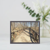 Carte postale de Walking Bridge (Debout devant)