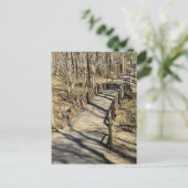 Carte postale de Walking Bridge (Debout devant)